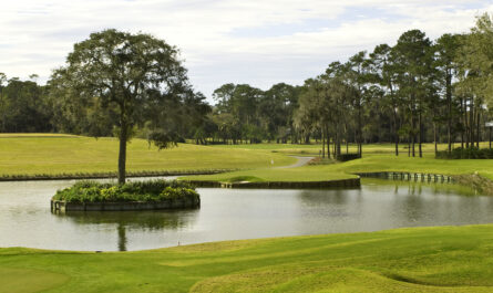 Hole 17 TPC Sawgrass. The 2024 Players Championship TPC Sawgrass Non-Expert Predictions